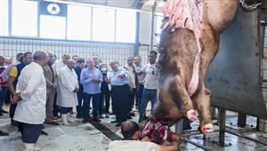 استعدادًا لعيد الأضحى.. تطوير أكبر مجزر آلي في الإسكندرية - صور 