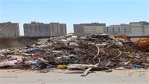 صور.. رفع 45 طن قمامة من شوارع البرجاية قبل امتحانات الثانوية العامة في المنيا