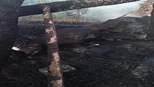 بالصور- نفوق 6 رؤوس ماشية في حريق حظيرة ببني سويف