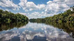  التغير المناخي يهدد "رئتي البشرية" في حوض الكونغو​