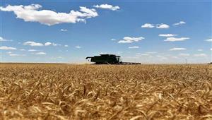 شاحنات الحبوب والأعلاف تنتظر دخول بولندا من أوكرانيا