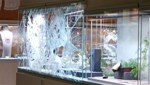 عصابة تنفذ عملية سطو مسلح في وضح النهار في معرض فني هولندي