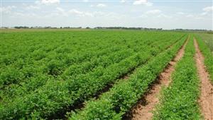 مسؤول: أوكرانيا فقدت ربع المساحة الزراعية