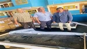 قبل تهريبهما للبنان.. ضبط قطعتين أثريتين من عصر محمد علي بمطار القاهرة