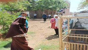 بالصور- تجربة مشروع "الكمبوست" للتخلص الآمن من الطيور النافقة بالمنوفية