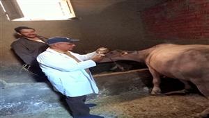 صور.. انطلاق الحملة القومية لتحصين المواشي في الدقهلية