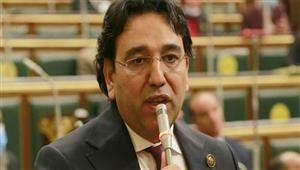 برلماني: "كتف في كتف" تشجع الشباب على العمل التطوعي 