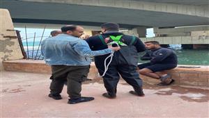   صمدت أمام النوات.. إنقاذ قطة علقت أسفل كوبري ستانلي منذ 8 أشهر (فيديو وصور)