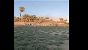  محاولات للسيطرة على حريق هائل شب في أشجار النخيل في الكرنك بالأقصر