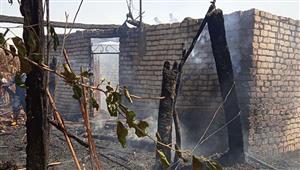 نفوق 23 رأس أغنام في حريق ببني سويف (صور)