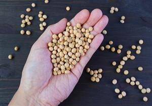 فوائد وأضرار فول الصويا.. تعرف عليها
