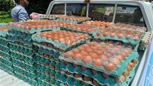 كرتونة البيض تبدأ من 88 جنيها.. الزراعة تنشر قائمة أسعار المنافذ