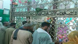 "مدد يا سلطان الصعيد".. ختام احتفالات مولد الفرغل بأسيوط- فيديو وصور