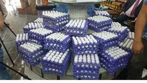 منتجي الدواجن: بيض المائدة هو البروتين الأرخص في الأسواق في ظل ارتفاع سعر اللحوم