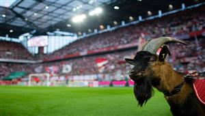 "بينهم موسيماني وصلاح".. نجوم وأندية كرة القدم يهنئون العالم الإسلامي بحلول عيد الأضحى