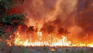 اندلاع حرائق غابات مجددا في فرنسا إثر تفاقم الجفاف جراء موجة الحر