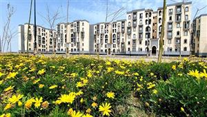 تفاصيل تنفيذ شقق الإسكان السياحي المتميز بالمنصورة الجديدة - صور