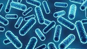 تفاصيل عقار جديد يحارب 300 نوع بكتيريا مقاومة للمضادات الحيوية