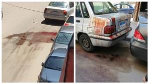 خلاف على ركنة سيارة.. شقيقان وراء طعن شاب أمام المارة في الإسكندرية- صور 