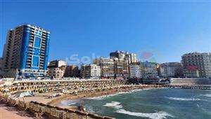 الهوام الخضراء تعكر صفو رواد شواطئ الإسكندرية.. والمصايف تتدخل بشباك الصيد…