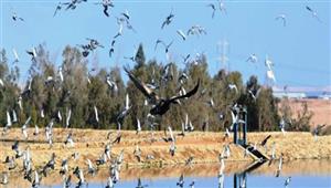 عامل يغرز سكينا في صدر شاب بسبب "حمام" بأكتوبر