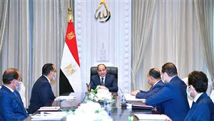 السيسي يستعرض إجراءات تحديث الشبكة المالية الحكومية ومنظومة الهيئات الاقتصادية 
