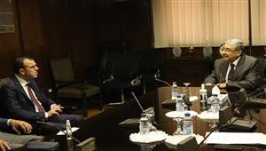 مصر والإمارات يبحثان سبل دعم وتعزيز التعاون وزيادة فرص الاستثمار في مجال الكهرباء