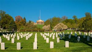 لسبب غريب.. رجل ينفق مبلغ ضخم لزيارة المقابر - ماذا يفعل هناك؟ 