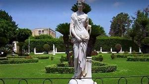 أول رد من محافظة الإسكندرية على تجريف حديقة أنطونيادس وقطع الأشجار النادرة