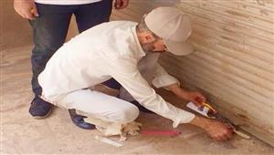 محال خالفت قرار مجلس الوزراء.. تحرير 587 مخالفة لعدم الالتزام بترشيد الكهرباء