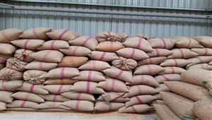  12 ألف طن قمح روسي.. التموين تكشف تفاصيل بدء العمل في بورصة السلع