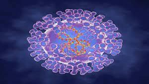 الصحة العالمية: مكافحة جدري القرود تقدم وسيلة لمنع انتشاره عالميًا