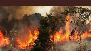 السيطرة على حرائق الغابات الإسبانية مع وصول أمطار طال انتظارها