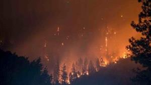  قوات الإطفاء الألمانية تستعين بـ"روبوت" ثان في مكافحة حريق غابة في برلين