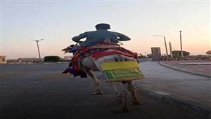 "وقعت من فوق الجمل".. نقل سائحة صينية إلى مستشفى الهرم