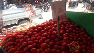 تراجع الطماطم.. أسعار الخضروات والفاكهة في سوق العبور اليوم