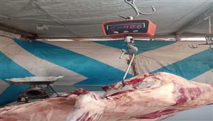 صور.. تحرير 45 محضرًا خلال حملات تموينية في جنوب سيناء 