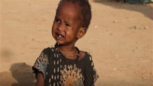  مسؤول أممي يحذر من "تزايد حدة" أزمة الجوع في البلدان الضعيفة بسبب تغير المناخ