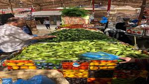 الطماطم تصل 8 جنيهات.. قائمة أسعار استرشادية للخضر والفاكهة في الإسماعيلية