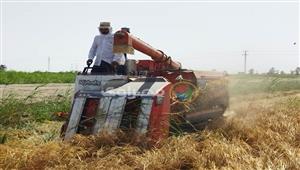 التموين: المخزون الاستراتيجي من الأرز يكفي لمدة عام