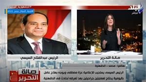 الرئيس السيسي يستجيب لعلاج عامل باليومية بعد تعرضه لحادث في الدقهلية