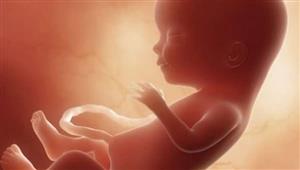 دراسة: الأجنة تتجاوب مع المذاق والرائحة داخل الرحم
