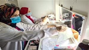 الكشف على 1628 مريضًا في قافلة طبية مجانية بالبحيرة