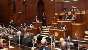 السوشيال ميديا أبرز الأسباب.. برلماني: التعصب الرياضي يهدد استقرار المجتمع