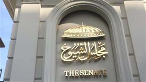 محمد حسام رئيسا.. ننشر تشكيل اللجنة التشريعية بمجلس الشيوخ