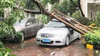 دمرت المنازل والأشجار.. أعاصير عنيفة تضرب مناطق أمريكية