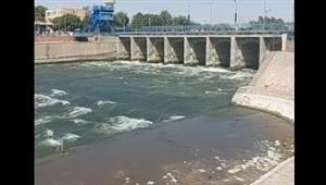 شبه التمساح.. ظهور ورل نيلي بترعة الإبراهيمية يثير الذعر في أسيوط