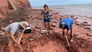 أقدم حفرية في التاريخ.. كائن غامض عاش قبل 300 مليون سنة (صور)