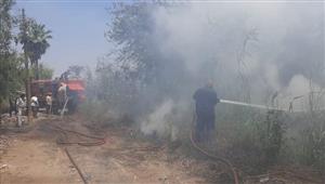بالصور- حريق في الحشائش والهيش خلف الوحدة المحلية بمدينة ببا جنوب بني سويف