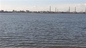 رياح شديدة وموجة صقيع.. طقس سيئ يضرب كفر الشيخ- فيديو وصور 